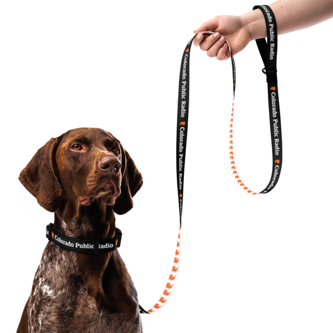 Pet bundle