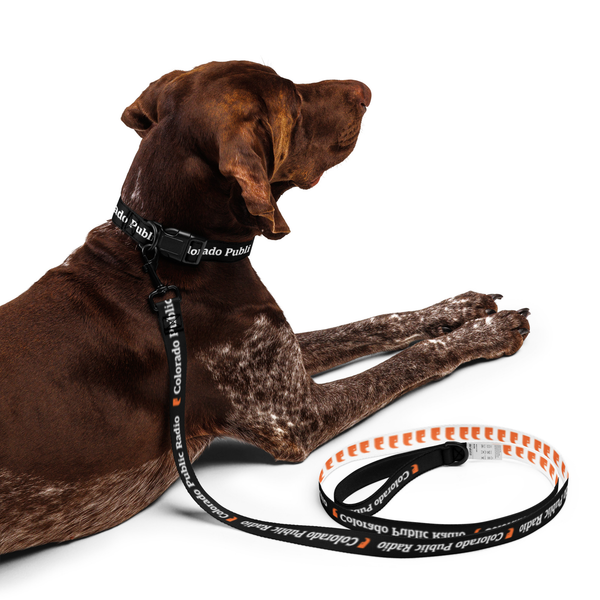 Pet bundle